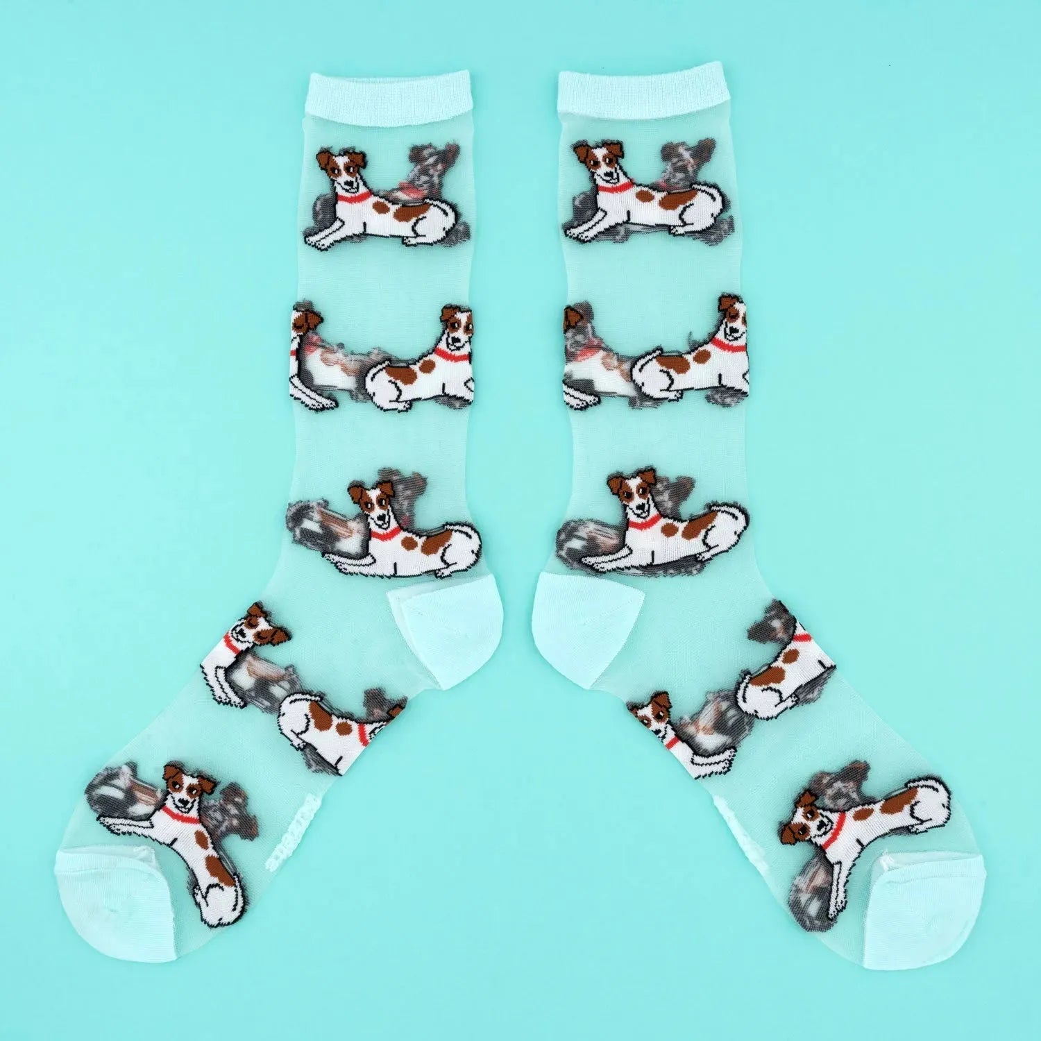Unisex Sheer Socks Jack Russel 2&4 PETS