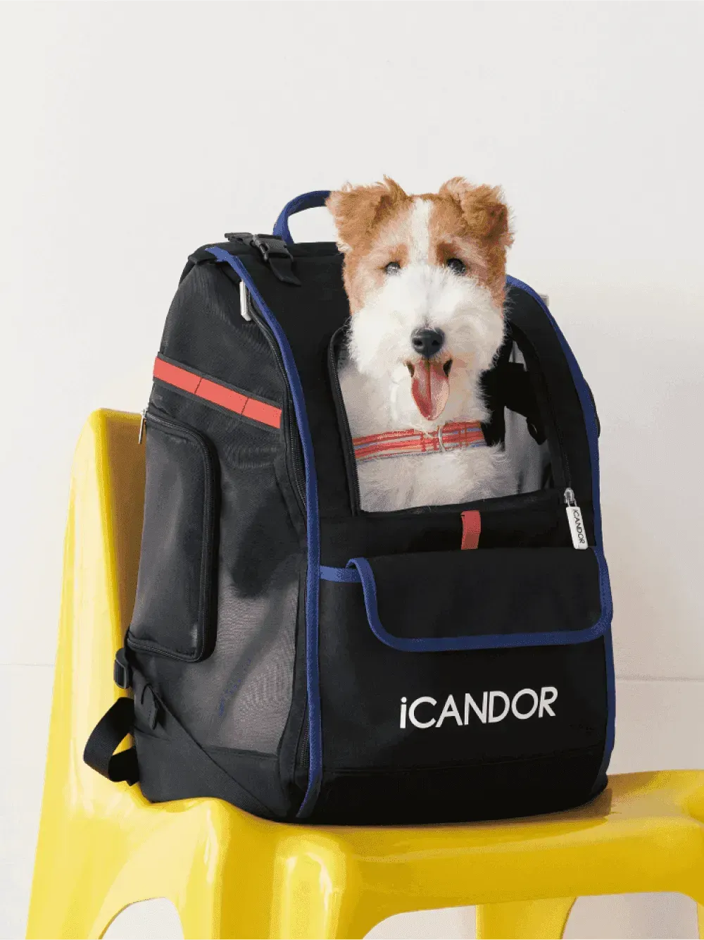 Dog best sale travel backpack