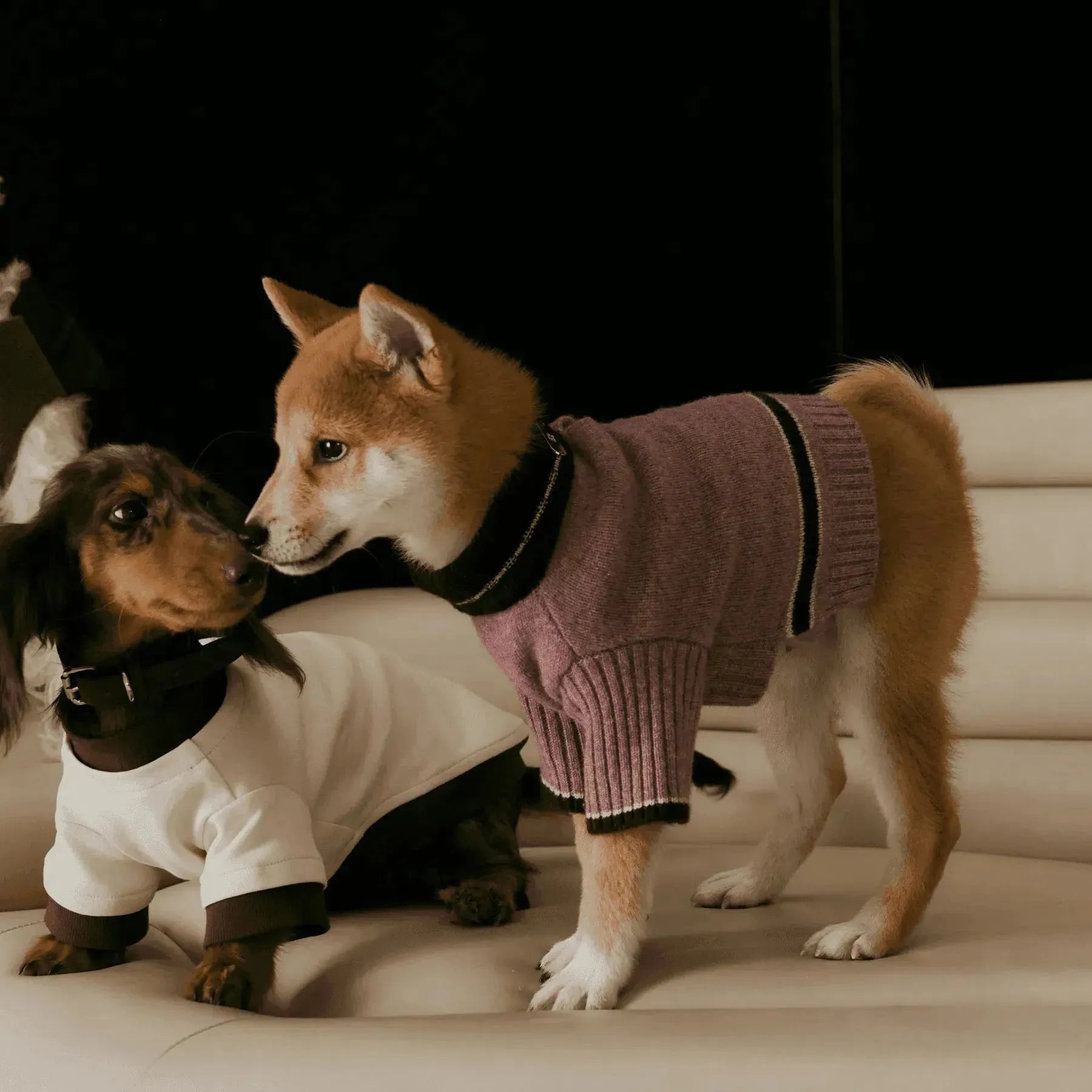 Merino wool dog sweater best sale