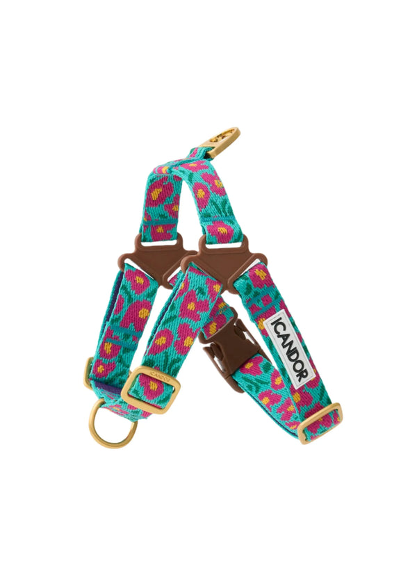 No-Pull Dog Harness - Big Fish Mint - 2&4 PETS