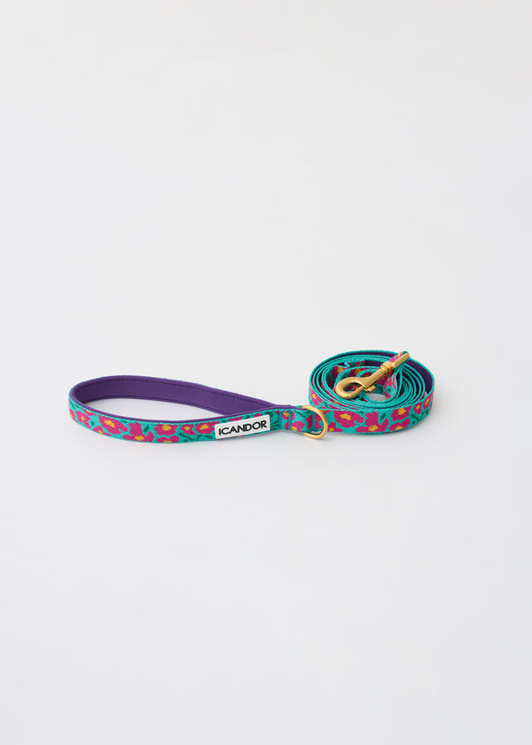 Gentle 2-Handle Dog Leash - Big Fish Mint