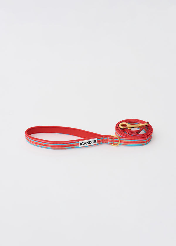 Gentle 2-Handle Dog Leash - Lollipop