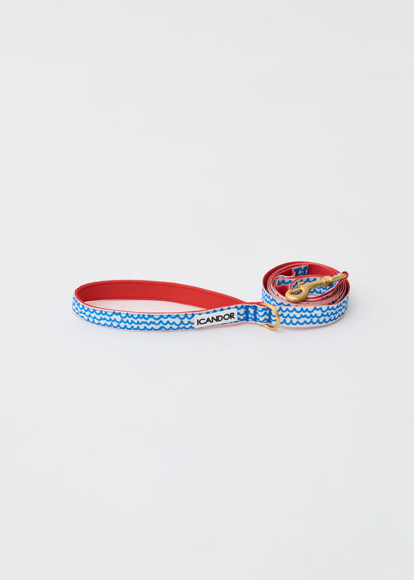 Gentle 2-Handle Dog Leash - Surfrider