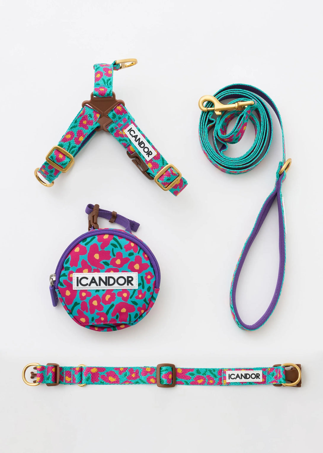No-Pull Dog Harness - Big Fish Mint - 2&4 PETS