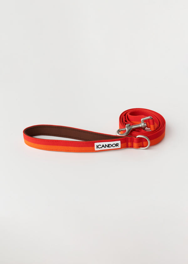 Gentle 2-Handle Dog Leash - Sunset