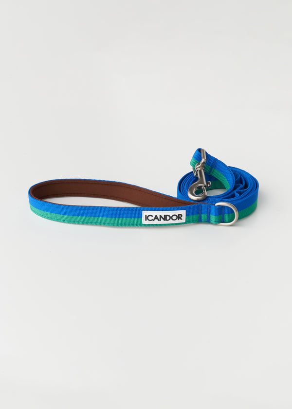 Gentle 2-Handle Dog Leash - Forest