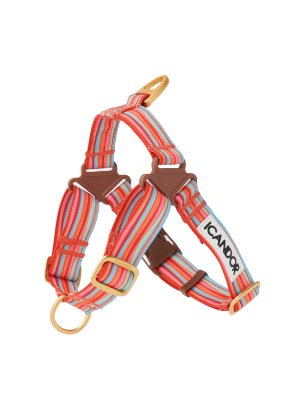 No-Pull Dog Harness - Lollipop - 2&4 PETS
