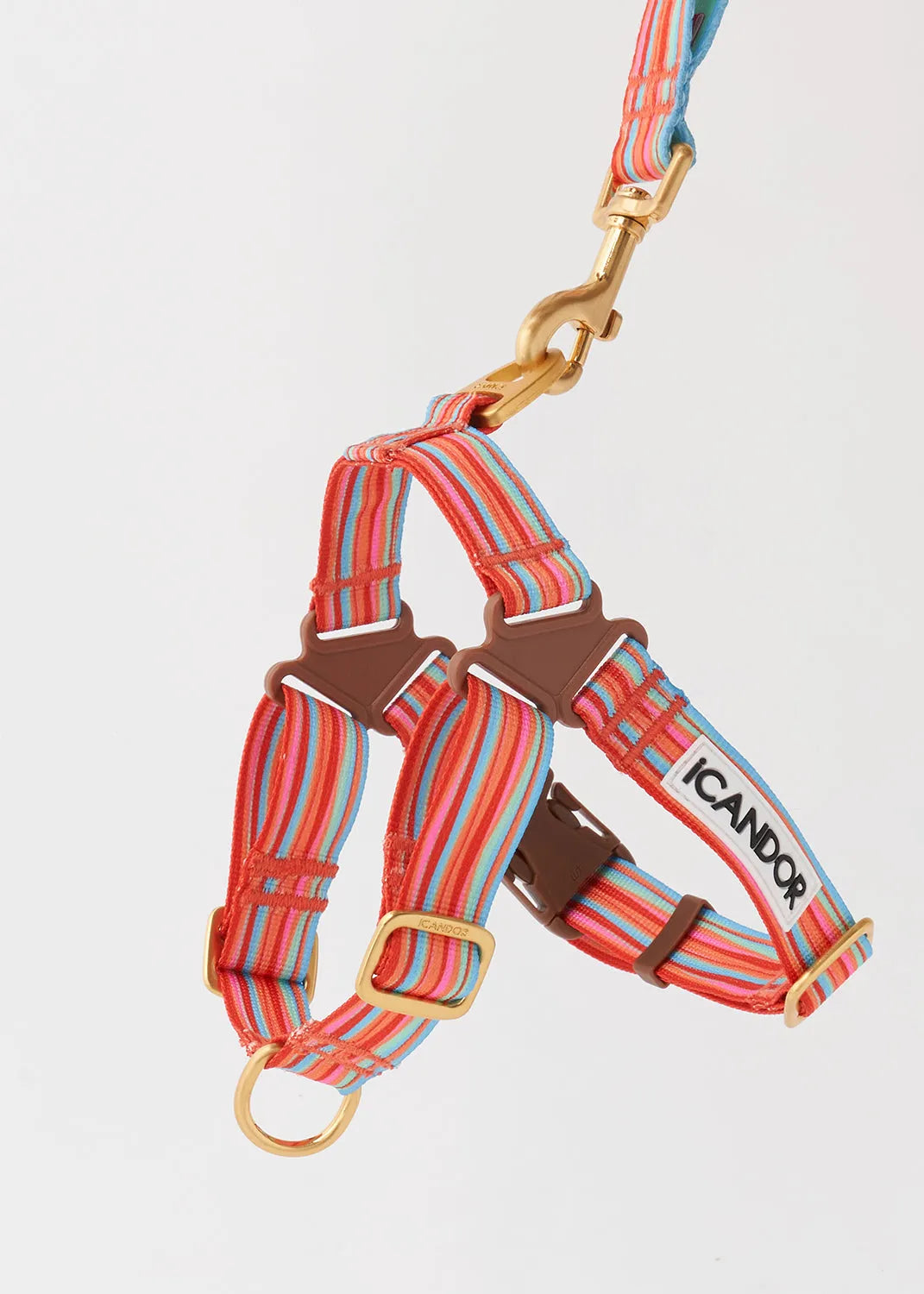 No-Pull Dog Harness - Lollipop - 2&4 PETS