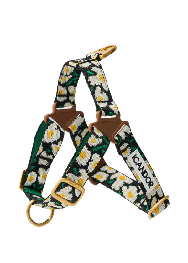 No-Pull Dog Harness - Big Fish - 2&4 PETS