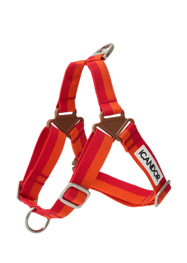 No-Pull Dog Harness - Sunset - 2&4 PETS