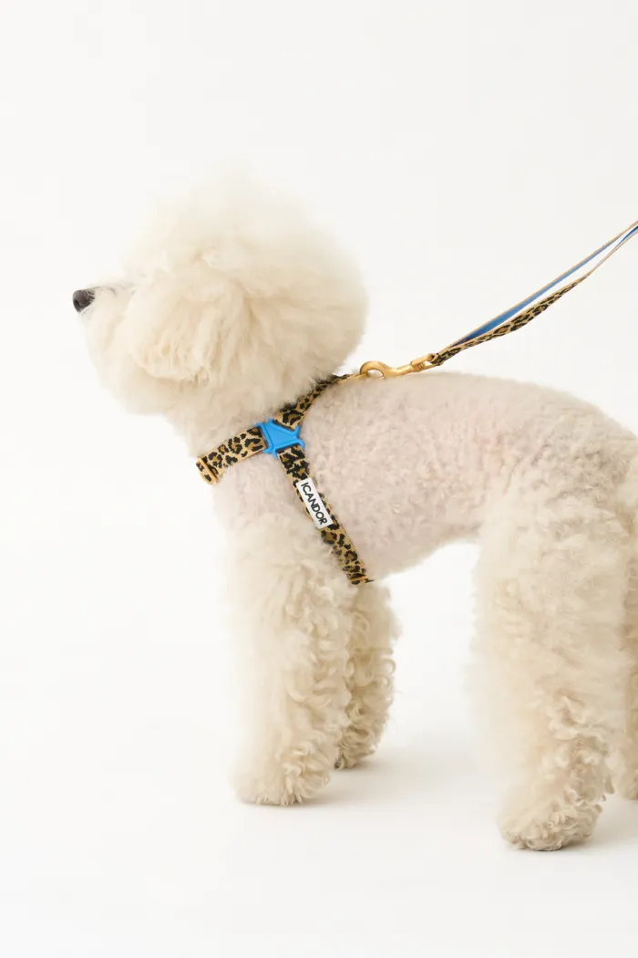 No-Pull Dog Harness - Leopard - 2&4 PETS