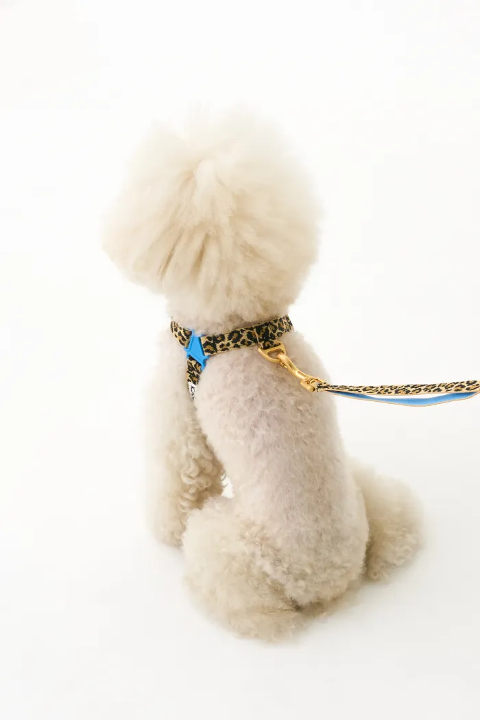 No-Pull Dog Harness - Leopard - 2&4 PETS