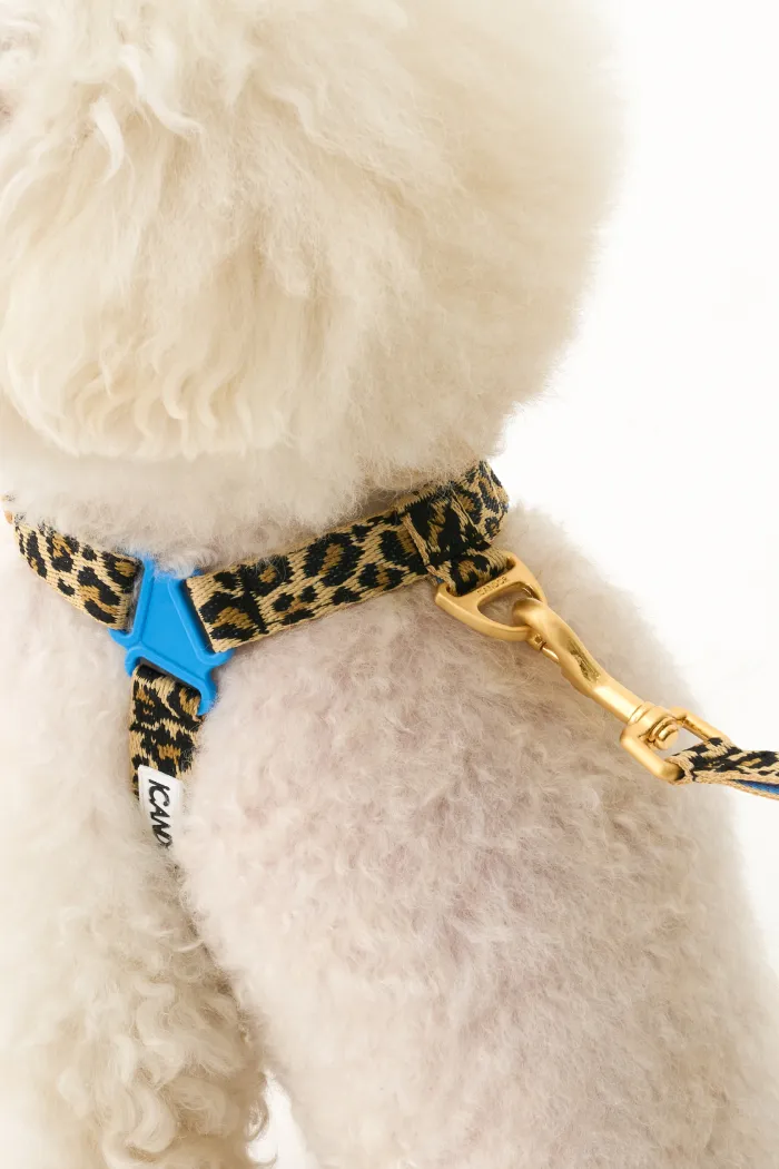 No-Pull Dog Harness - Leopard - 2&4 PETS