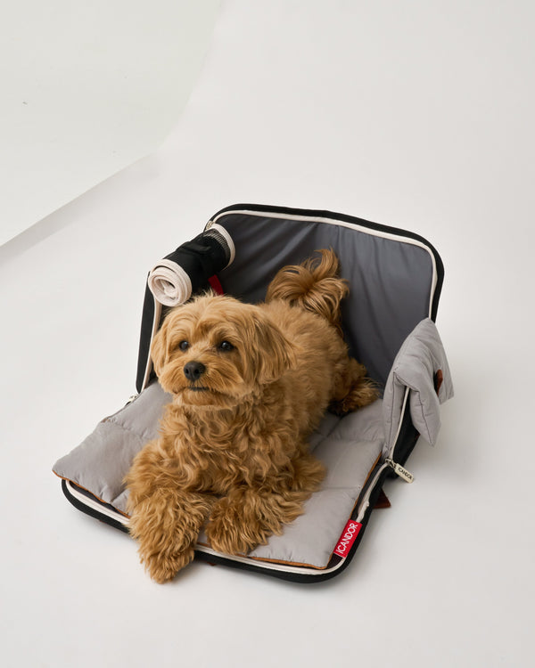 iBag | Pet Travel Carrier - Shy Navy