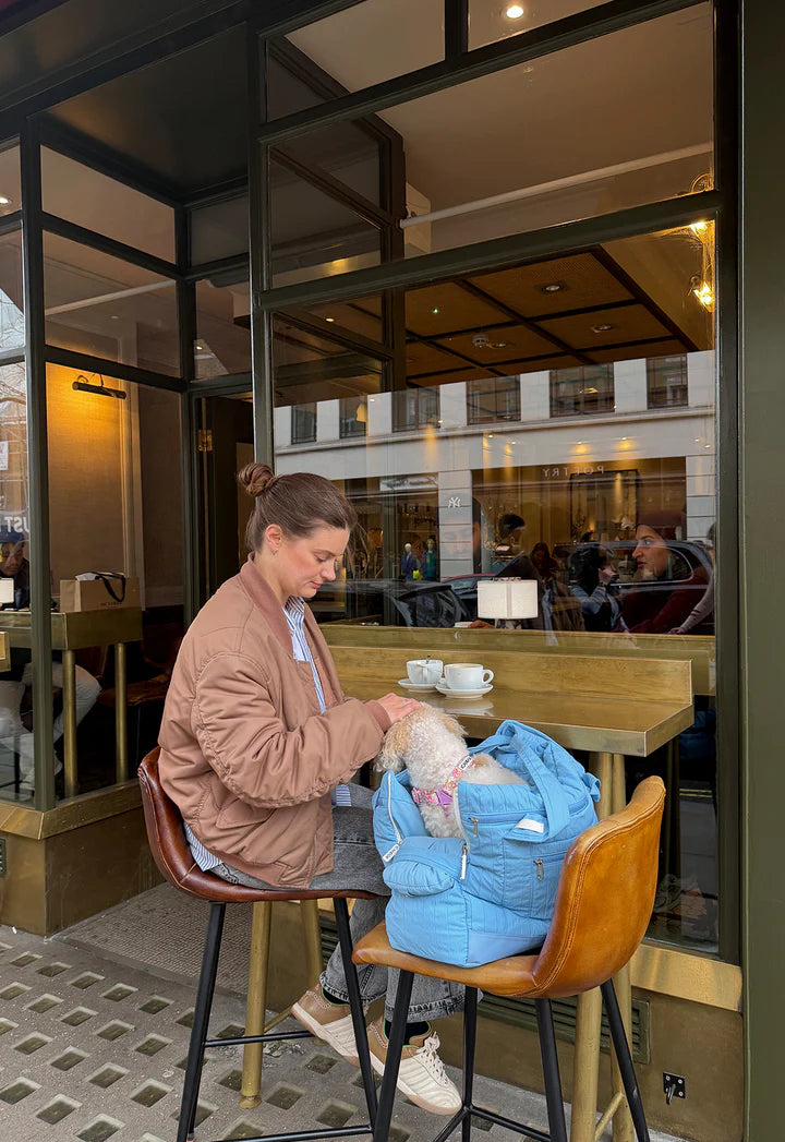 Woman petting small dog in blue carrier at outdoor cafe, stylish pet accessory for urban outings