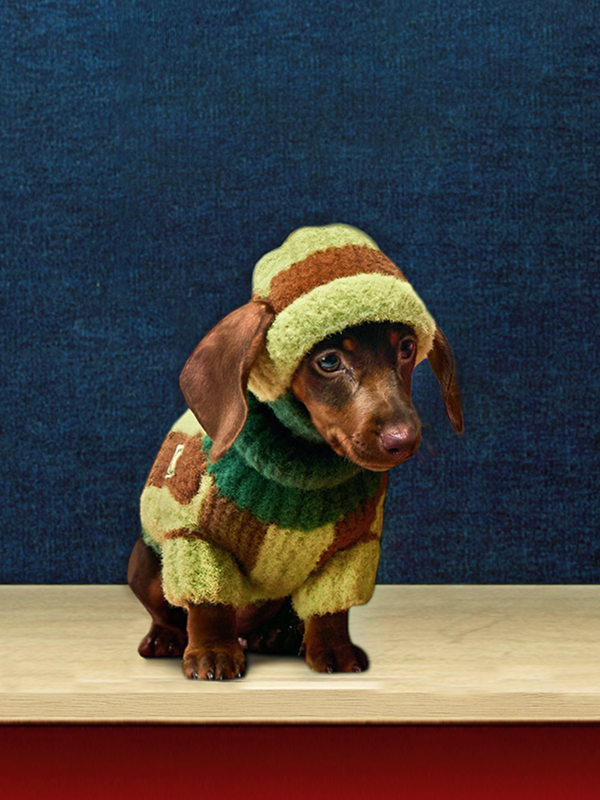 Handcrafted Cashmere Colour-Block Pet Hat