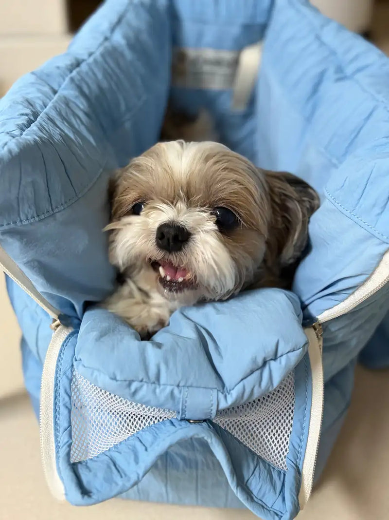 Happy small dog in blue pet carrier, cozy and secure for travel or comfort