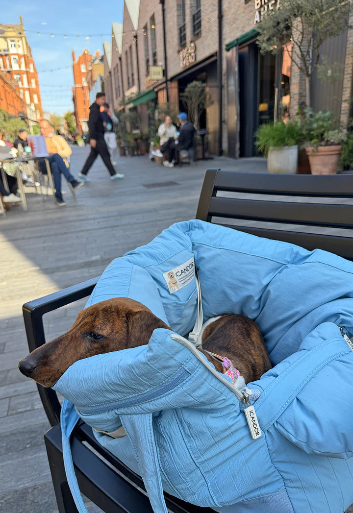 Dachshund in blue CANDO8 pet carrier on outdoor bench, urban street background