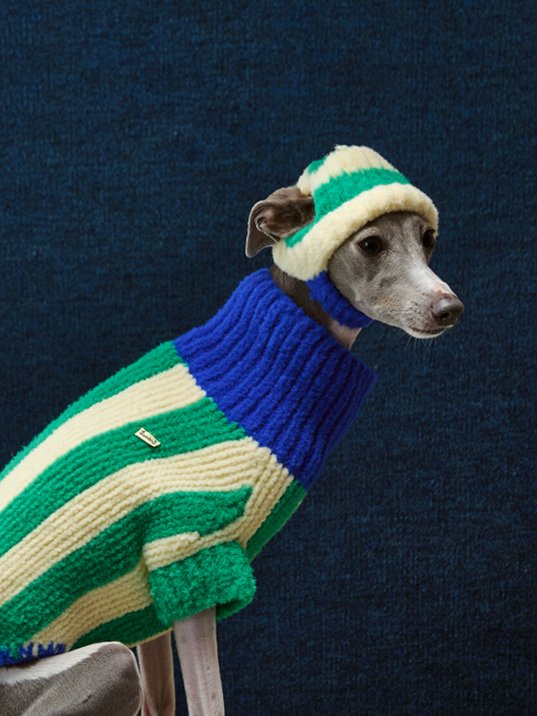 Handcrafted Cashmere Colour-Block Pet Hat