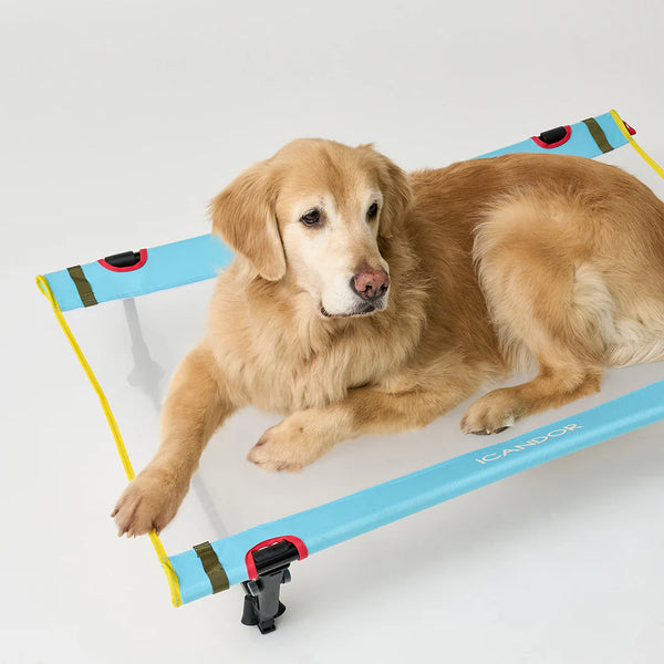 Trail Nest | Elevated Camping Dog Cot – 2&4 PETS