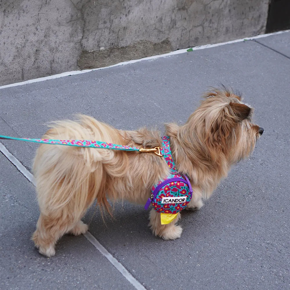 No-Pull Dog Harness - Big Fish Mint - 2&4 PETS