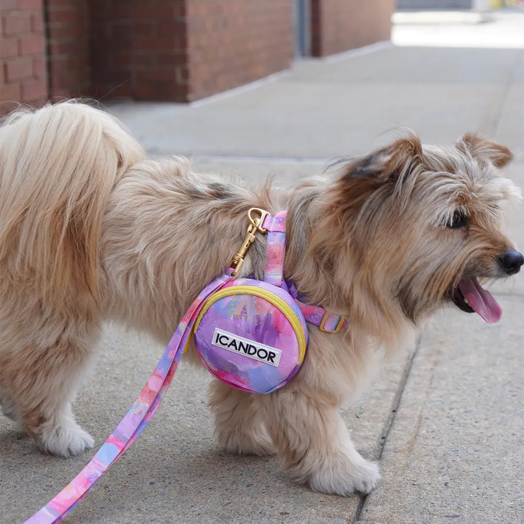 No-Pull Dog Harness - Milky Way - 2&4 PETS