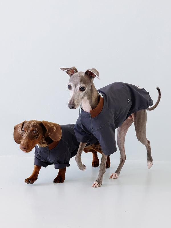 UPF50+ Featherlight Water-Repellent Dog Pullover | Steel Grey