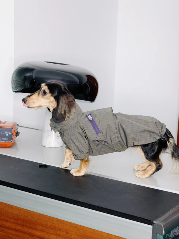 Waterproof Athletic Cape Jacket | Dachshund Fit