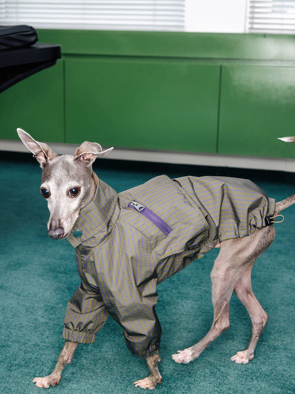 Waterproof Athletic Cape Jacket