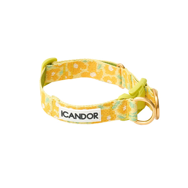 Gentle Dog Collar - Big Fish Yellow