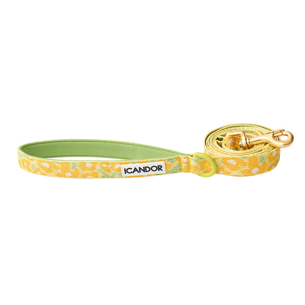 Gentle 2-Handle Dog Leash - Big Fish Yellow