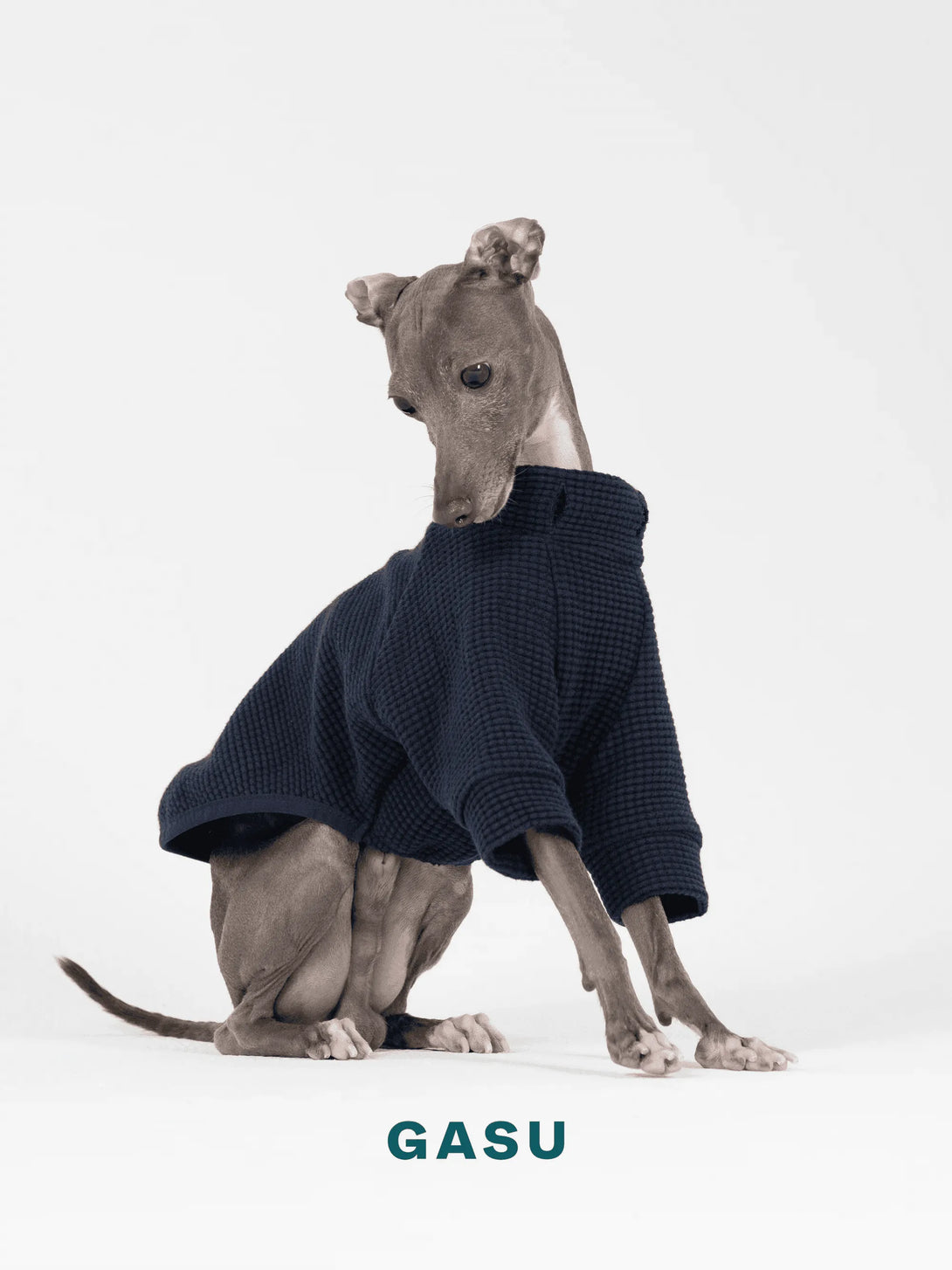 2-Leg Cotton DIY Dog Pullover