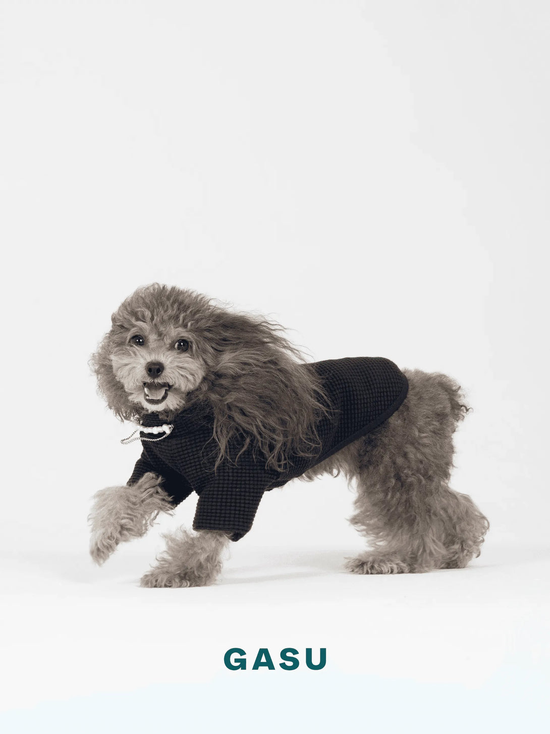 2-Leg Cotton DIY Dog Pullover