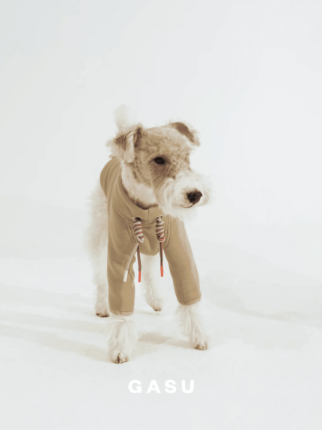 2-Leg Cotton DIY Dog Pullover