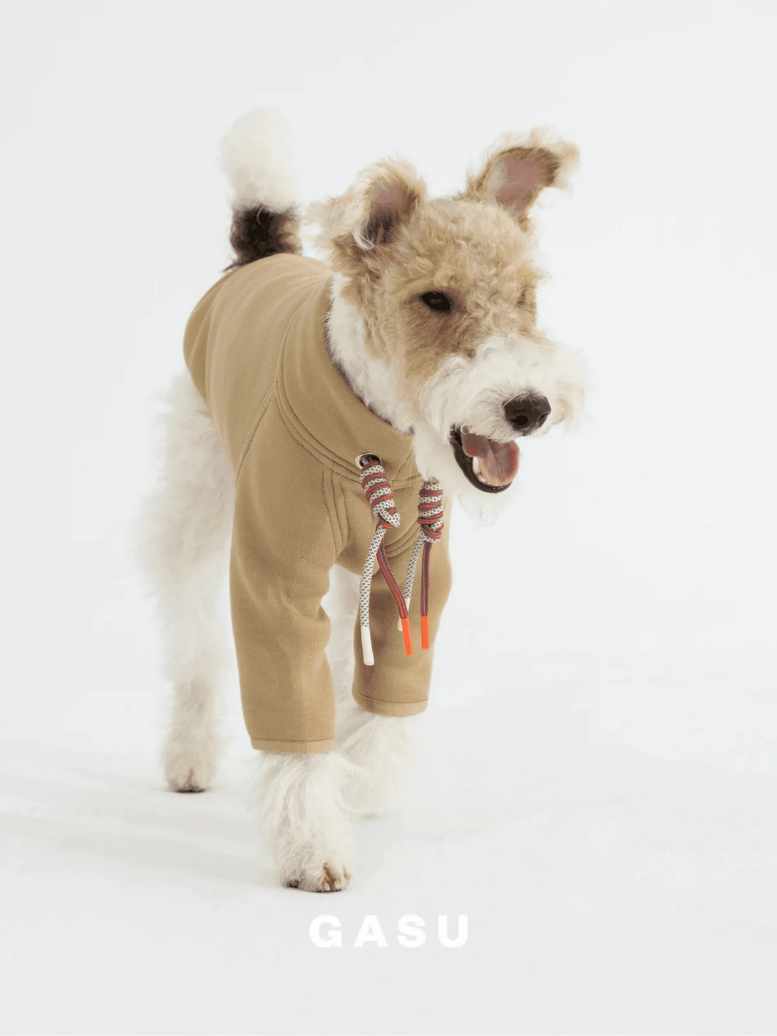 2-Leg Cotton DIY Dog Pullover