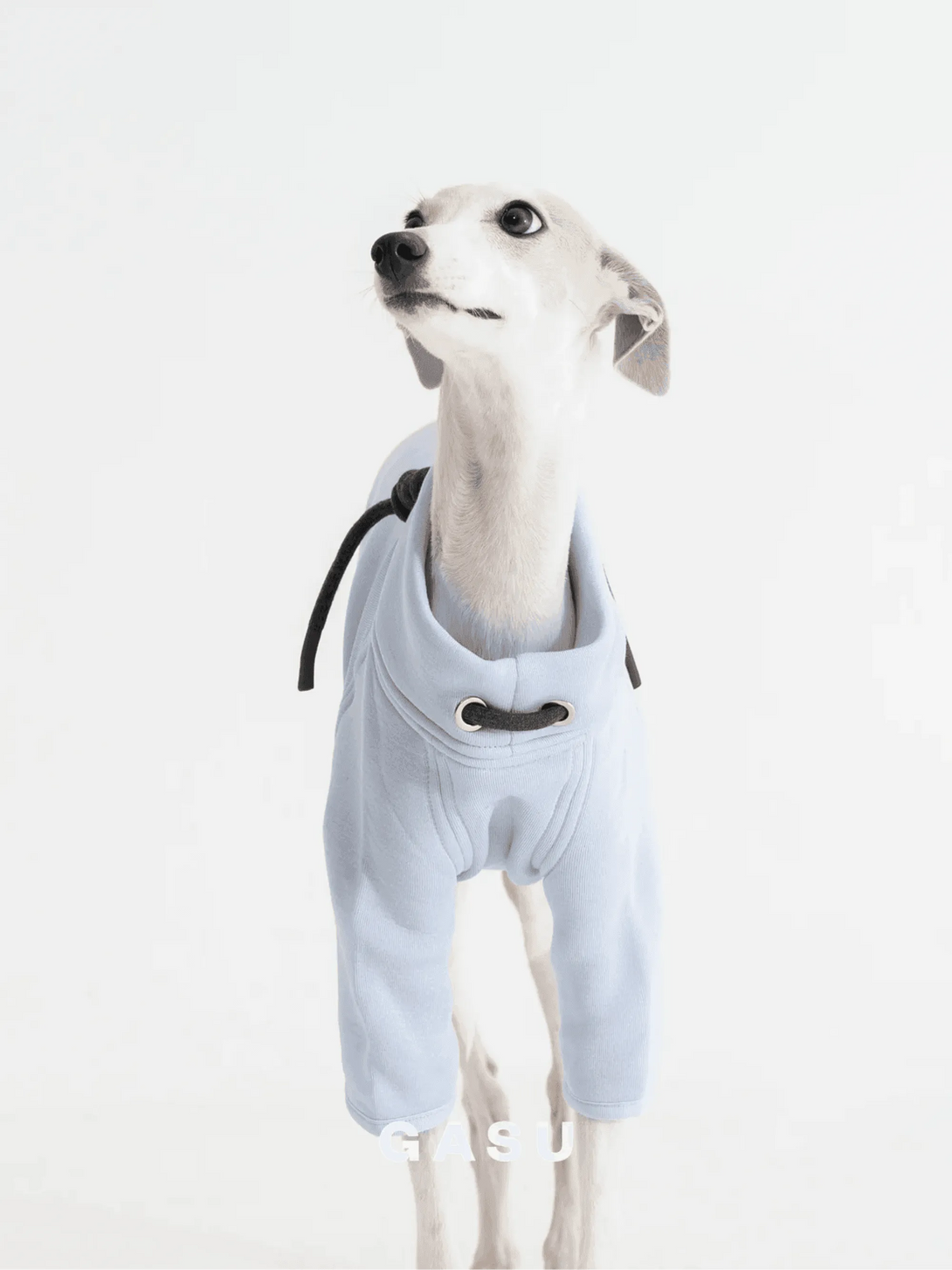 2-Leg Cotton DIY Dog Pullover