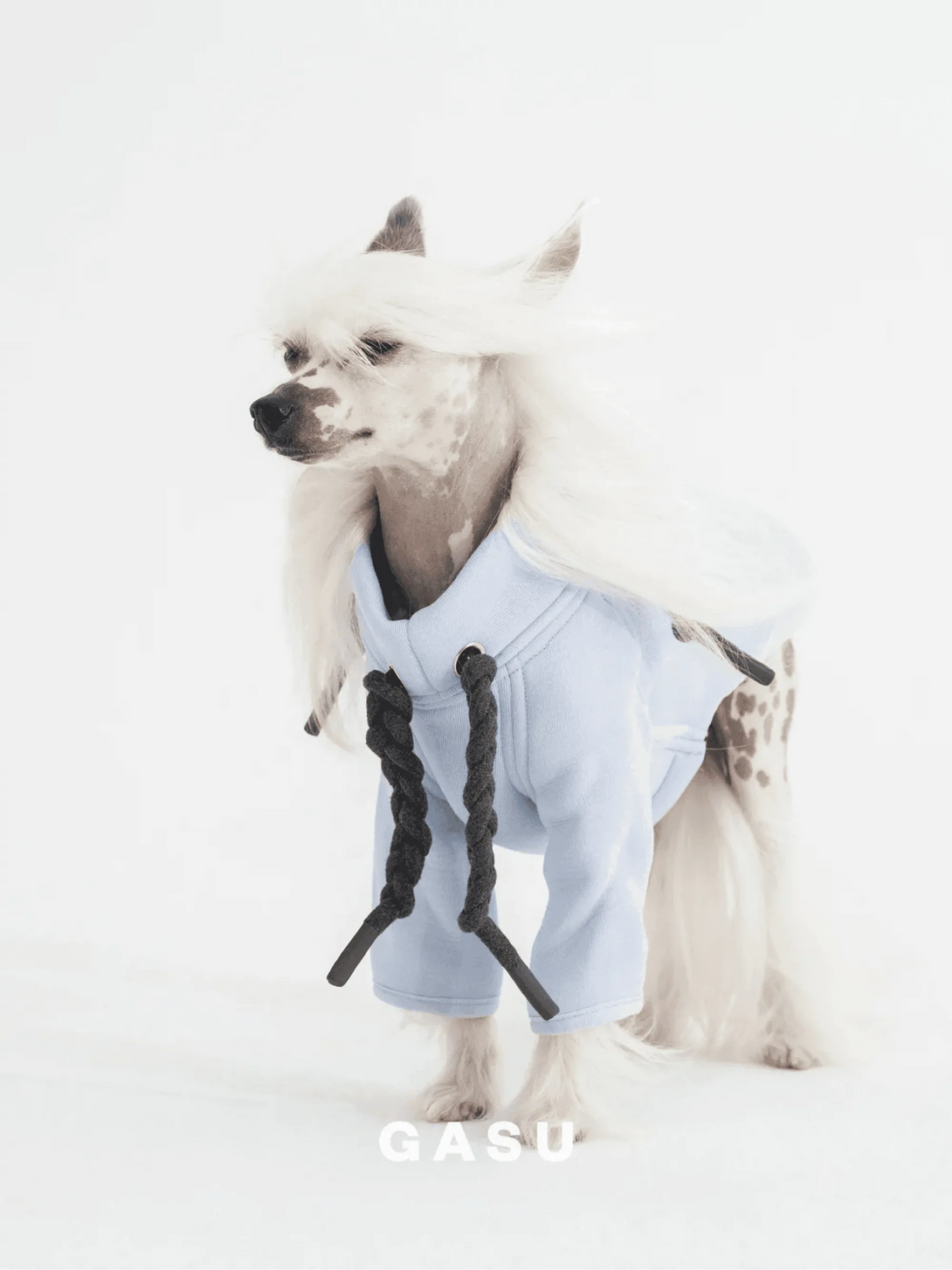 2-Leg Cotton DIY Dog Pullover