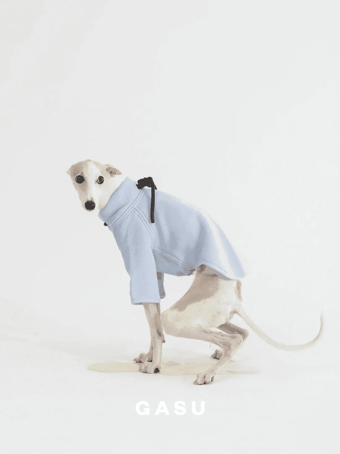 2-Leg Cotton DIY Dog Pullover - 2&4 PETS