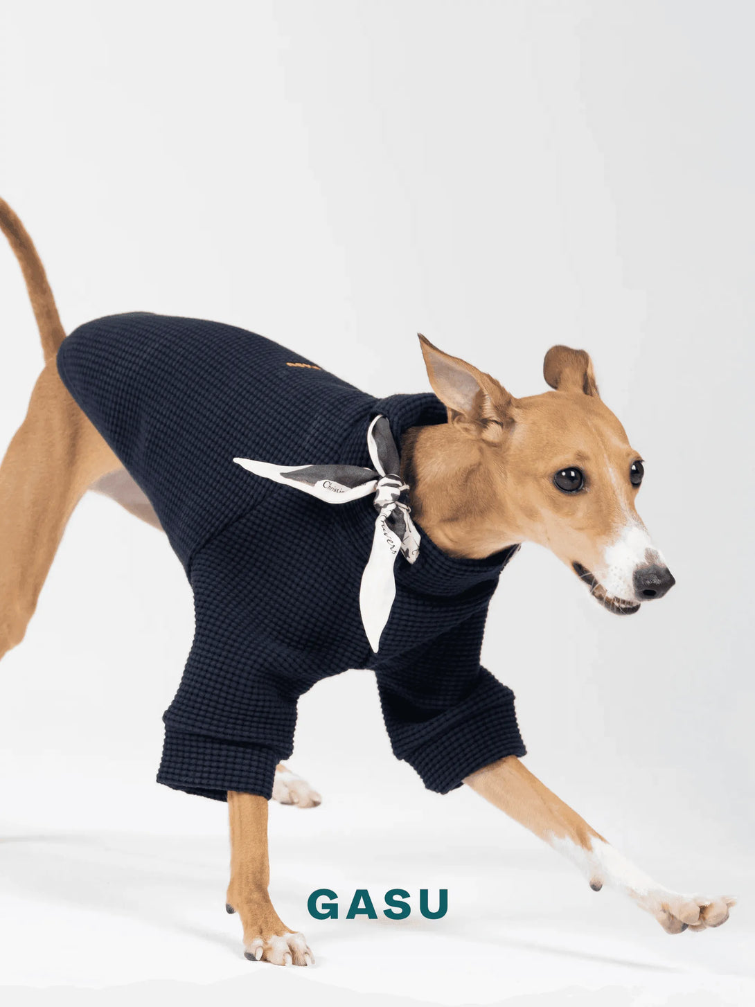 2-Leg Cotton DIY Dog Pullover