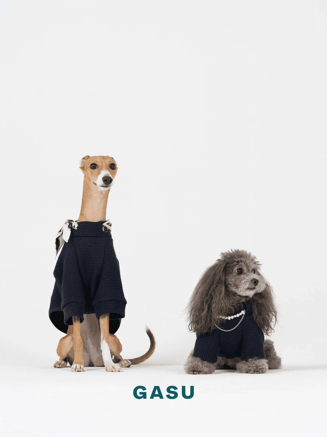 2-Leg Cotton DIY Dog Pullover