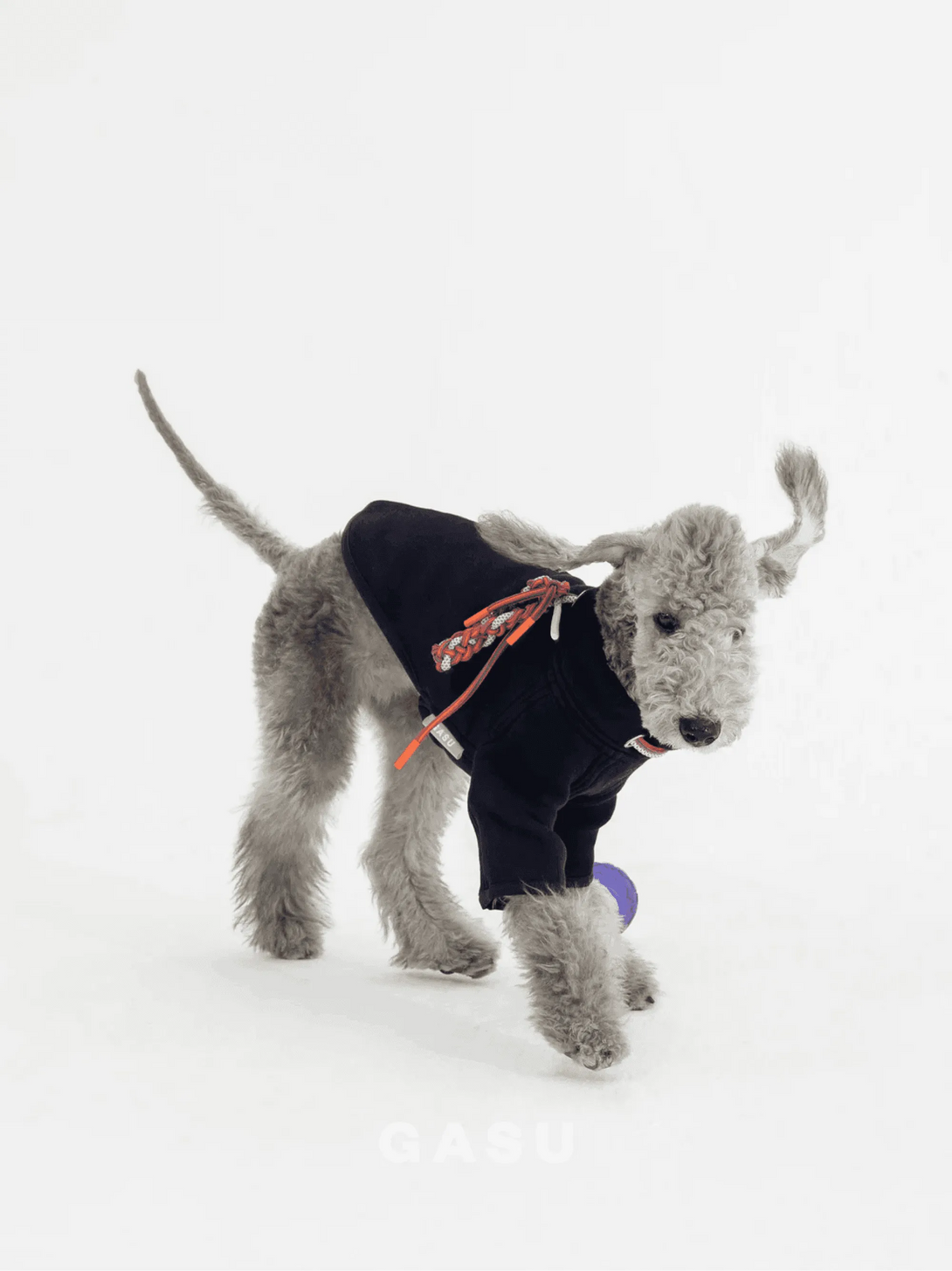 2-Leg Cotton DIY Dog Pullover