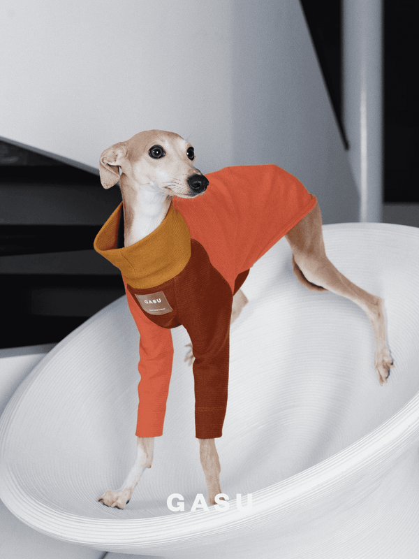 2-Leg Cotton Dog Pullover - 2&4 PETS
