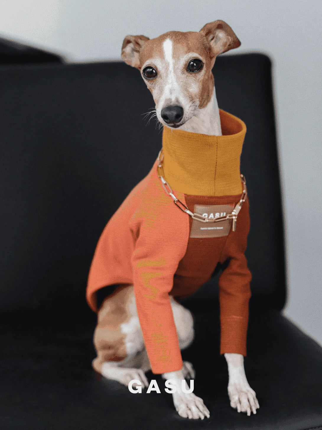 2-Leg Cotton Dog Pullover - 2&4 PETS