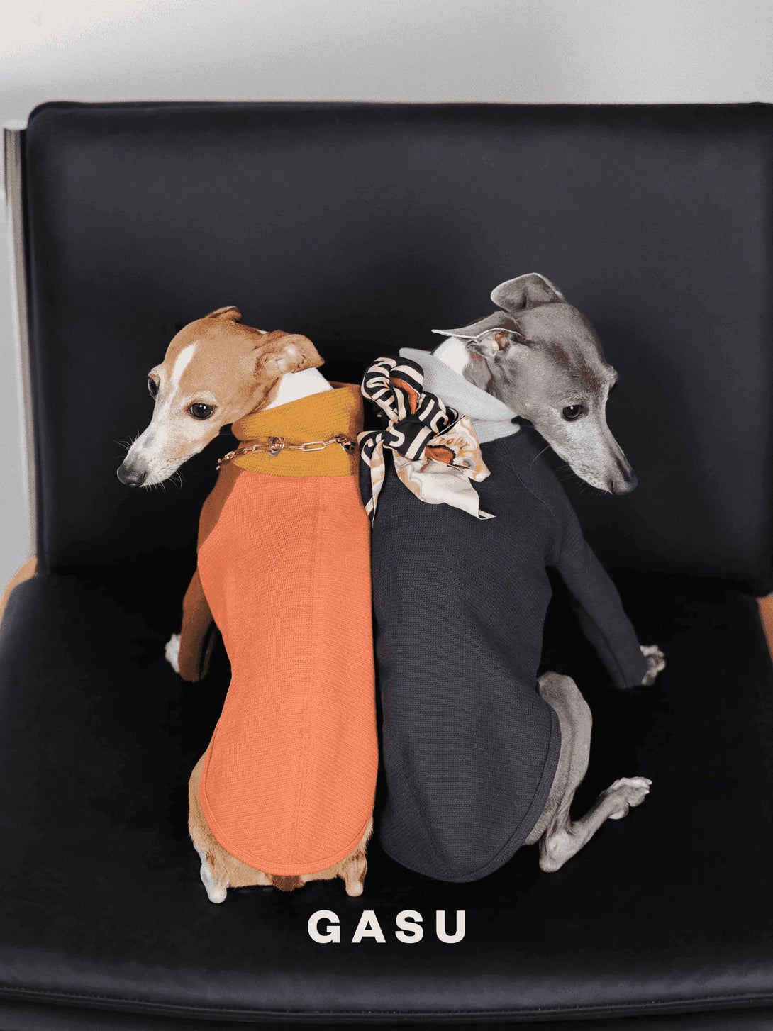 2-Leg Cotton Dog Pullover - 2&4 PETS