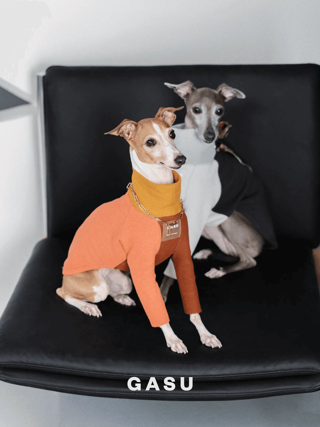 2-Leg Cotton Dog Pullover