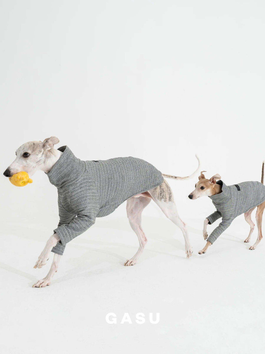 2-Leg Fit Cotton Dog Pullover