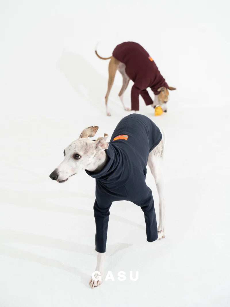 2-Leg Fit Cotton Dog Pullover