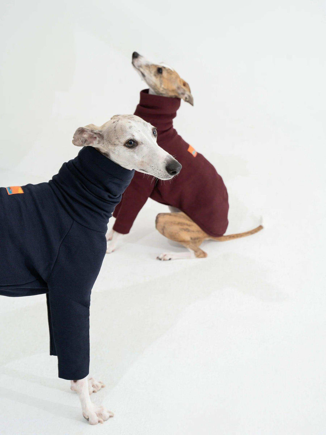 2-Leg Fit Cotton Dog Pullover