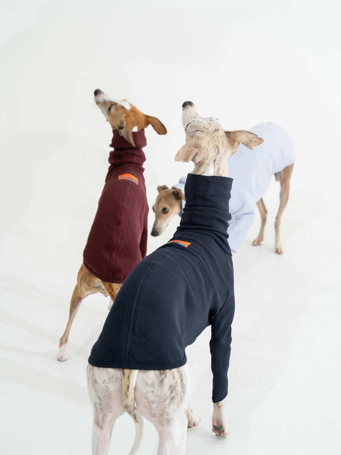 2-Leg Fit Cotton Dog Pullover