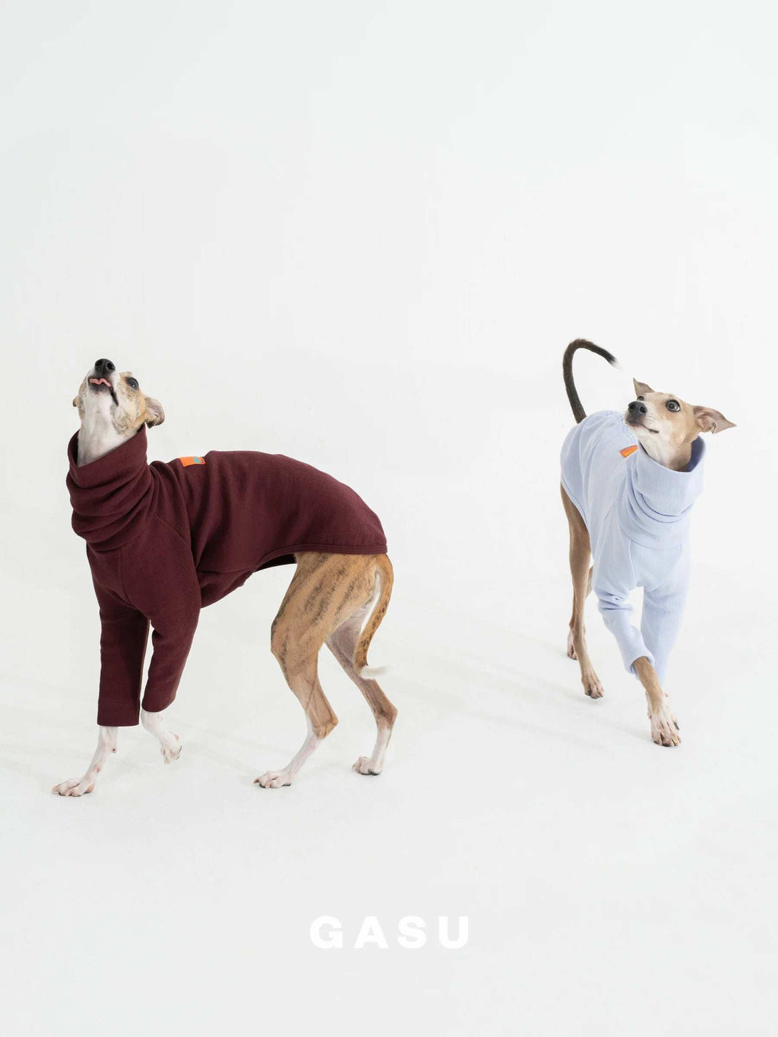 2-Leg Fit Cotton Dog Pullover